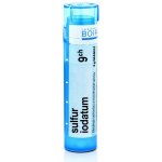 SULFUR IODATUM POR 9CH GRA 4G – Hledejceny.cz