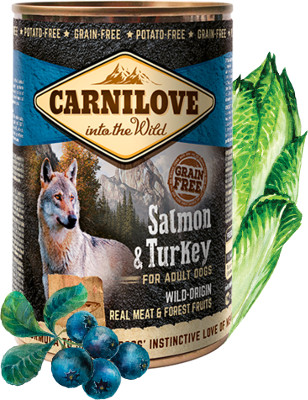 Carnilove Dog Wild Meat Salmon & Turkey 400 g