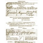 Creatoys Gelová razítka Grosse Moyenne – Zboží Mobilmania