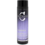 Tigi Catwalk Fashionista Violet Conditioner pro blond a světlé vlasy 250 ml – Hledejceny.cz