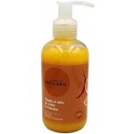 Fergio Bellaro olejový masážní gel pomeranč a chili 170 g – Hledejceny.cz