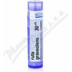 RUTA GRAVEOLENS POR 30CH GRA 4G – Hledejceny.cz