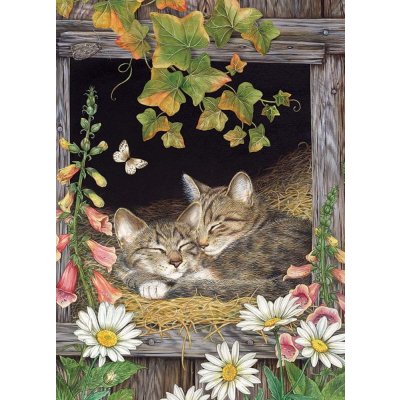 Cobble Hill Sisters 500 dílků – Sleviste.cz