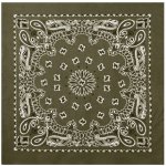 Šátek Rothco Trainmen oliv – Zbozi.Blesk.cz