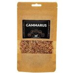 UGF Sušený gammarus 20 g – Zbozi.Blesk.cz