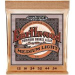 Ernie Ball 2146 – Sleviste.cz