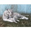 Malování podle čísla Royal Langnickel Malování podle čísel 30x40 cm- Bílý tygr s mládětem