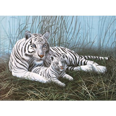 Royal Langnickel Malování podle čísel 30x40 cm- Bílý tygr s mládětem