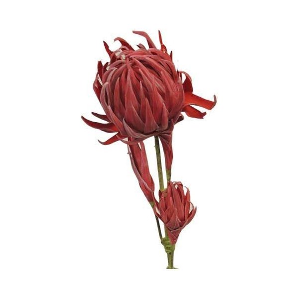 Květina Stardeco Umělá květina Stardeco WLG221613-RE květ červený