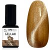 Gel lak Expa nails gel lak 3d magnetic cat eye 627 5 ml