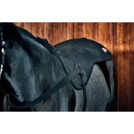 Catago Prohřívací deka zad FIR Tech – Hledejceny.cz