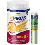 Vitar Veterinae Artivit Pegas Forte 7 prášek 700 g – Zboží Mobilmania