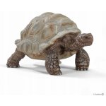 Schleich 14824 Wild Life Giant tortoise – Zbozi.Blesk.cz