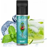 CoolniSE Shake & Vape IGLOO 15 ml – Hledejceny.cz