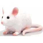 Animal Planet Myš – Sleviste.cz