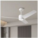 ZEVENTI ZV0024 – Zboží Dáma