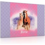 Karton P+P Podložka na stůl 60x40cm kůň – Zboží Dáma