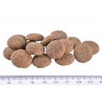 Brit Care Sustainable Adult Large Breed Chicken & Insect 12 kg – Zboží Dáma