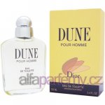 Christian Dior Dune toaletní voda pánská 100 ml – Zboží Mobilmania