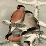 Biostan PZ Zimní směs 1 kg – Zboží Mobilmania