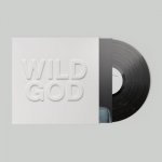 Nick Cave & The Bad Seeds - Wild God LP – Zboží Dáma