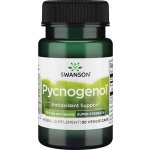 Swanson Pycnogenol 30 ks vegetariánská kapsle 150 mg – Hledejceny.cz