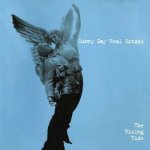 The Rising Tide - Sunny Day Real Estate LP – Hledejceny.cz