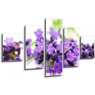 Obraz pětidílný 5D - 125 x 70 cm - Aroma, Lavendel Aroma, levandule – Zbozi.Blesk.cz