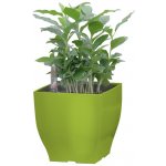 G21 Samozavlažovací květináč Cube mini zelený 13.5 cm – Zboží Dáma