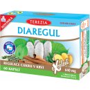 Terezia Diaregul kapslí 60