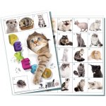 Bonaparte Pexeso: Kočky – Zbozi.Blesk.cz