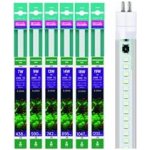 Arcadia Freshwater T5 LED 8000 K, 30 W 742 mm – Zboží Dáma