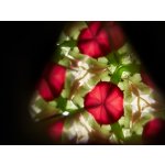 Plan Toys Kaleidoskop – Sleviste.cz