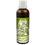 Naděje Chlamysan výtažek z bylin 50 ml – Hledejceny.cz