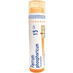 CHAMOMILLA VULGARIS POR 15CH GRA 1X4G – Hledejceny.cz