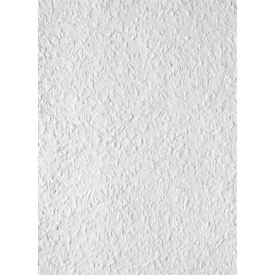 Erfurt papírová Raufaser tapeta 1003233 Classico 20x0,53 m – Zboží Mobilmania