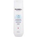 Goldwell Dualsenses Deep Cleansing Shampoo 250 ml