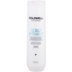 Goldwell Dualsenses Deep Cleansing Shampoo 250 ml – Zboží Mobilmania