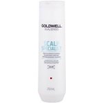 Goldwell Dualsenses Deep Cleansing Shampoo 250 ml – Hledejceny.cz