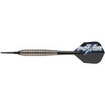 Target Power Silverlight Phil Taylor 18 g – Sleviste.cz
