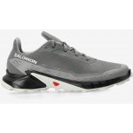 Salomon Alphacross 5 473133 29 W0 Pewter/Black/Ghost Gray – Zboží Dáma