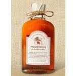Antonín Škoda Prométheus 280 g – Hledejceny.cz