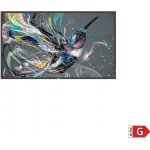 Philips 43BDL3511Q – Zbozi.Blesk.cz