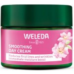 Weleda Divoká růže a bílý čaj rozjasňující noční krém 40 ml – Zboží Mobilmania