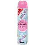 G & G Cassis & Freesie osvěžovač vzduchu 300 ml – HobbyKompas.cz