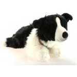 Pes border kolie – Sleviste.cz