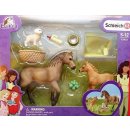 Schleich 42432 Set hříbě a Quarter kůň se štěňátkem a doplňky