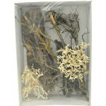 Lucky ReptileDeco Set Desert – Hledejceny.cz