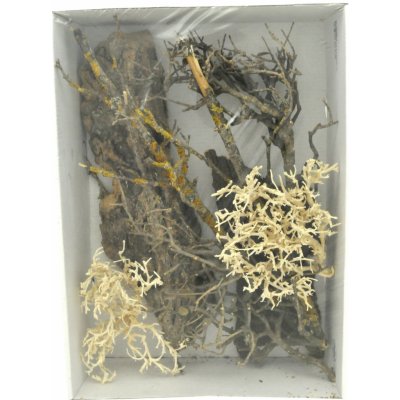 Lucky ReptileDeco Set Desert – Hledejceny.cz