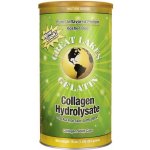 Great Lakes Kolagen hydrolyzovaný bez příchuti 454 g – Zbozi.Blesk.cz